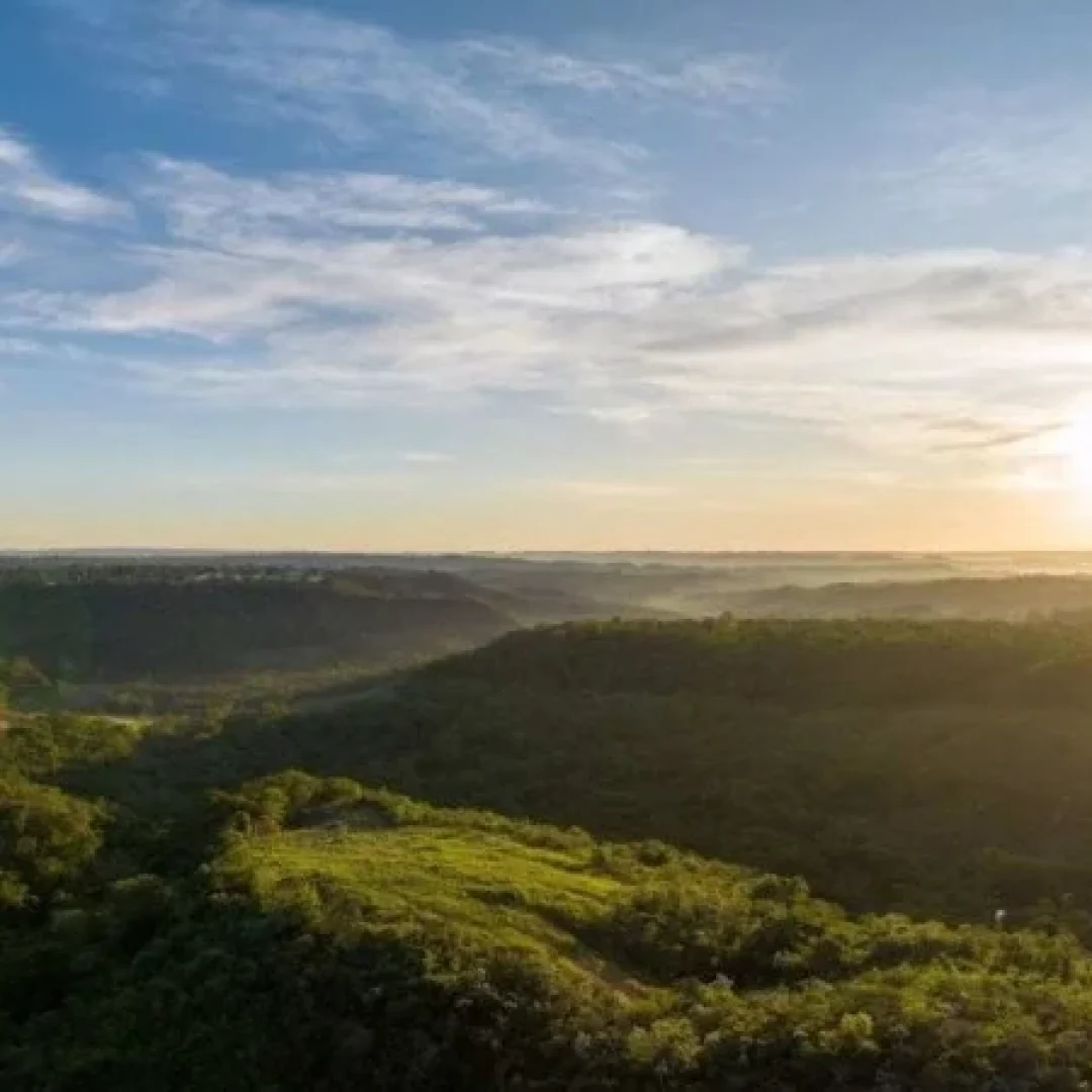 1_reserva_jardim_botanico__7_-40418525